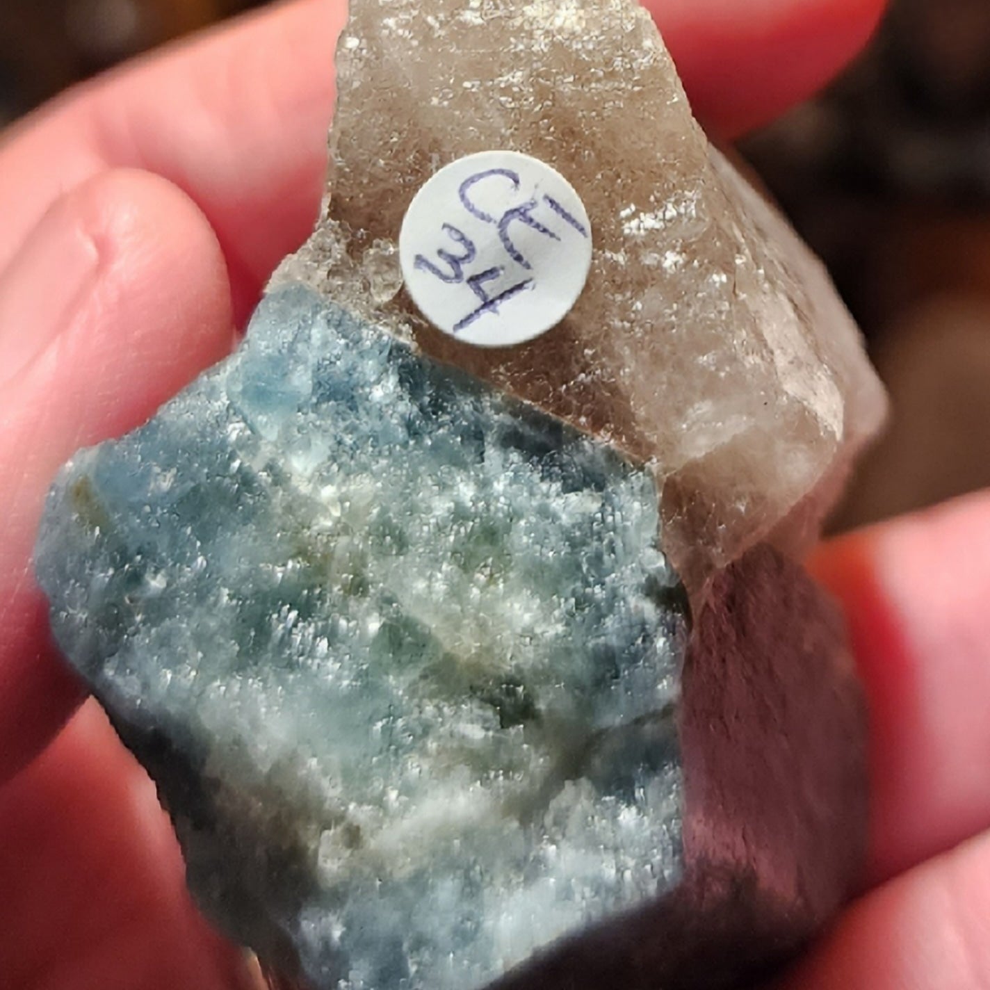 Aquamarine on Smoky Quartz Specimen - Rare Find!