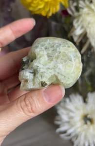 X - Sold Out - Prehnite Skull Reserved for Laura