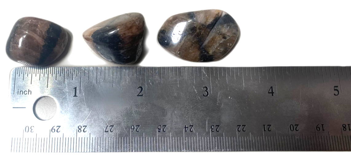 Chiastolite Polished Tumble Crystal - Root & Third Eye Chakra - Grounding Stone