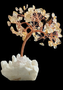 Citrine Chip Money Tree White Quartz Base