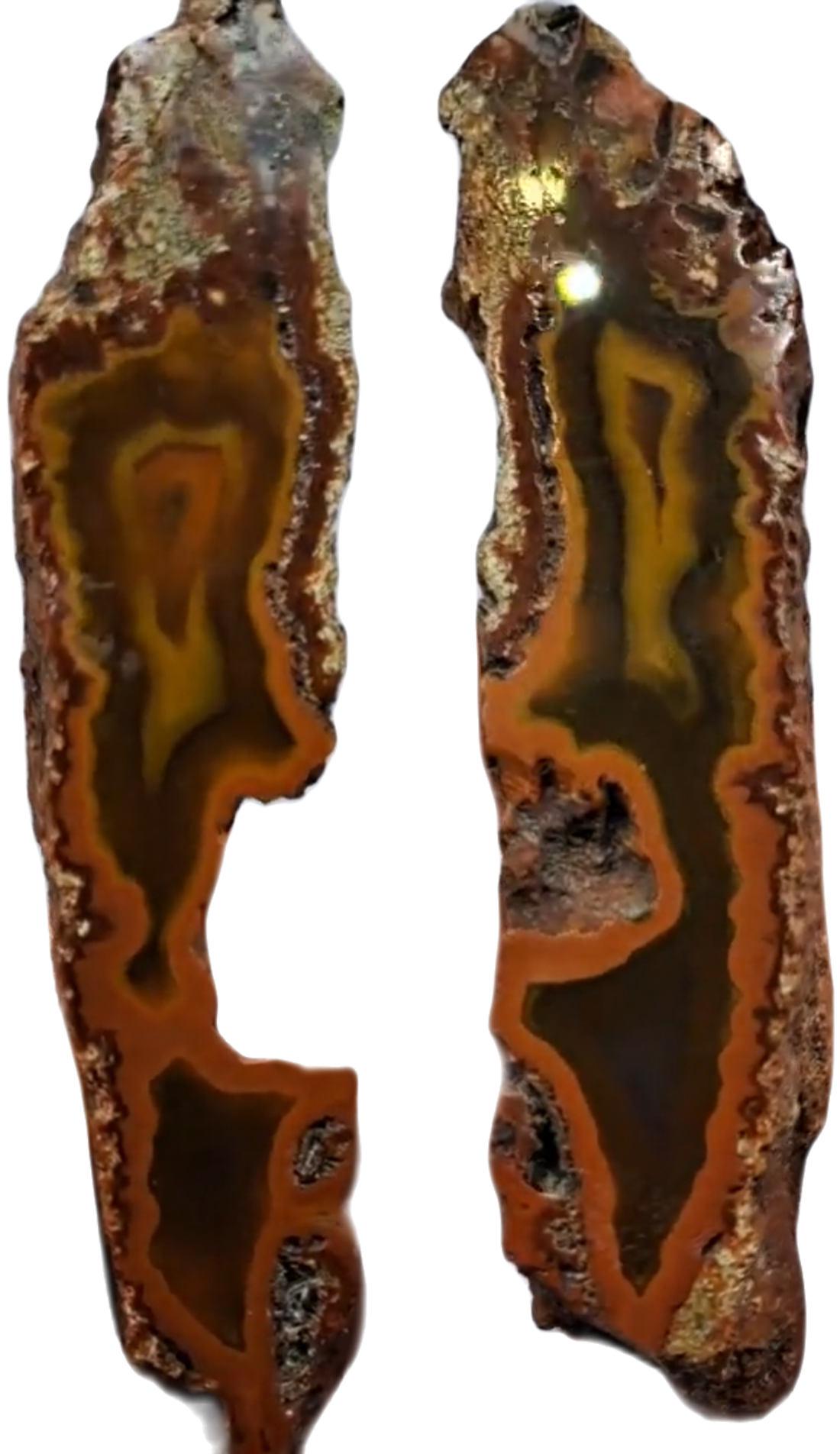 Sister Agates - Matching Pair from Geode Sliced in Half