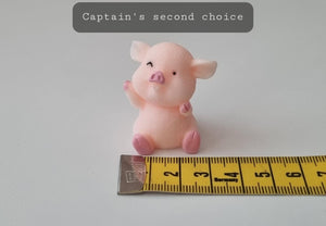 Captain - Piggy Spirit for Karin