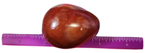 Large Polished Carnelian Egg