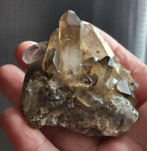 Stunning Smokey Quartz Crystal Cluster - The Multipurpose Stone