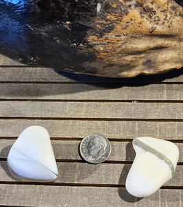 Natural Brazilian White Opal Tumbles! Conquer Fears, Connect w/Angels & More!