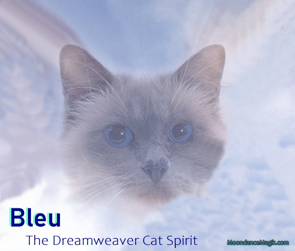 Bleu - Dream Manifestation Kitty Cat Spirit - Remote Bridging