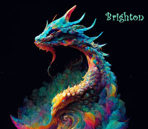 Rainbow and Brighton (Choose) - Dragon Spirits for Transformation & Adaptation