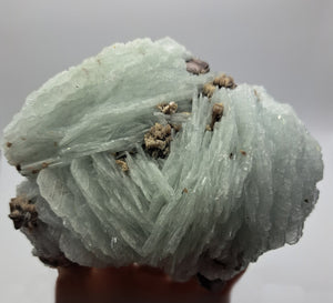 EXTREMELY RARE Huge Cleavelandite w/Mica Amazing Crystal for Transition & Intuition