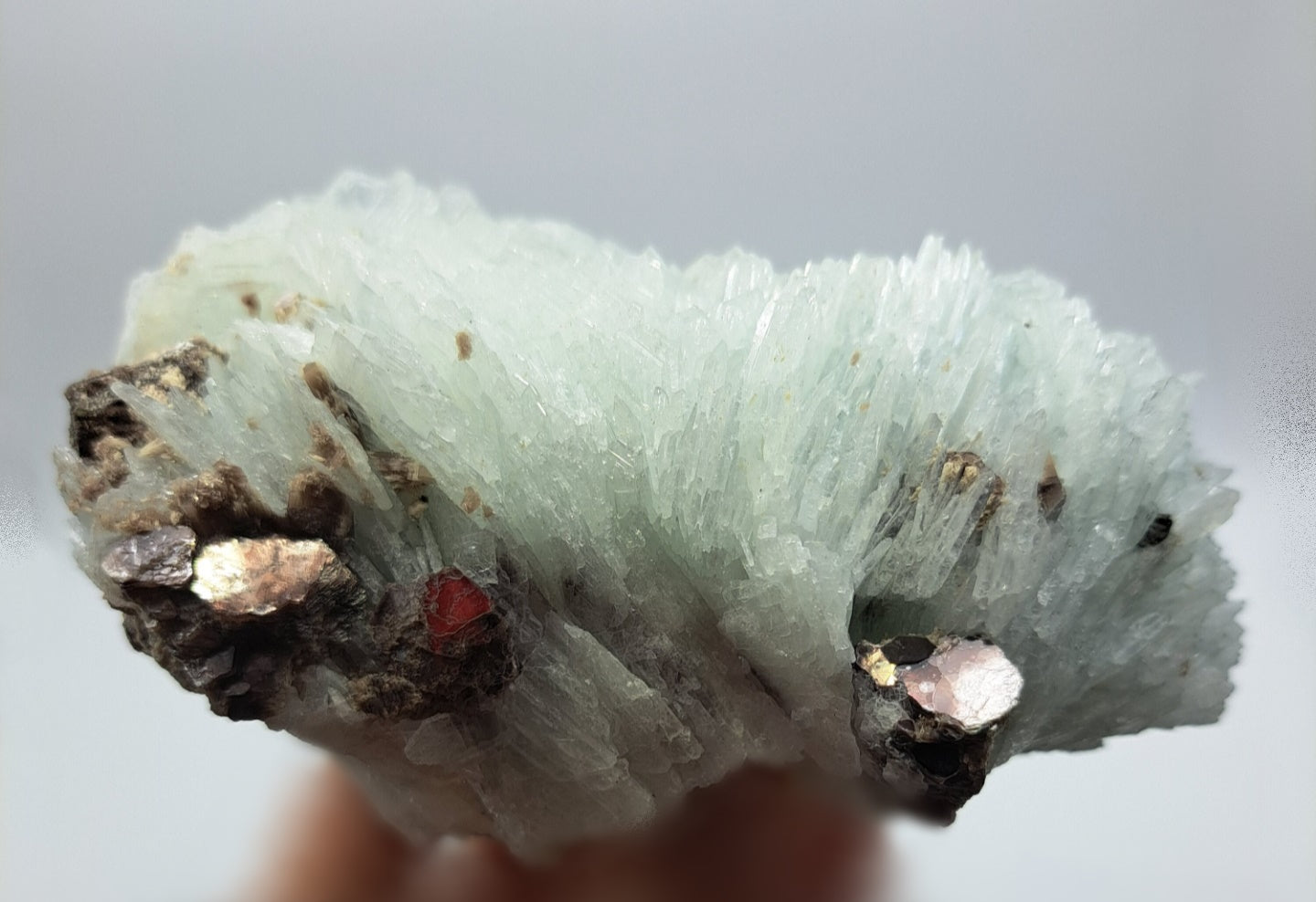 EXTREMELY RARE Huge Cleavelandite w/Mica Amazing Crystal for Transition & Intuition