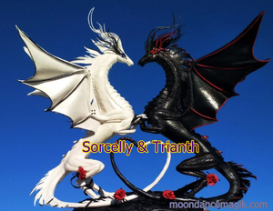 Amazing Yin & Yang Dragon Spirit Binding - Light and Dark Duo Choices for Companions