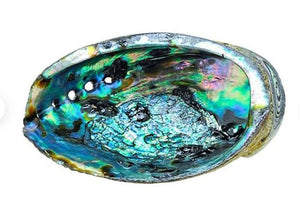 Gorgeous Abalone Shell Sage Smudge Bowl