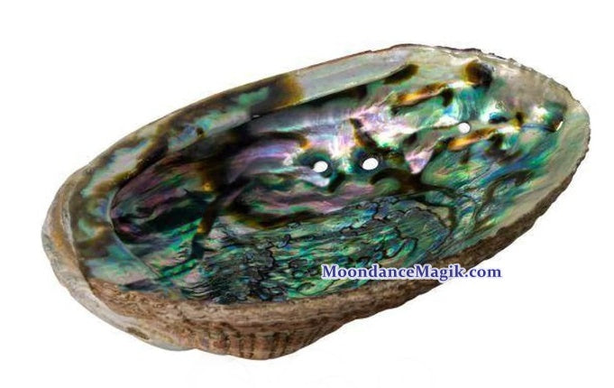 Gorgeous Abalone Shell Sage Smudge Bowl