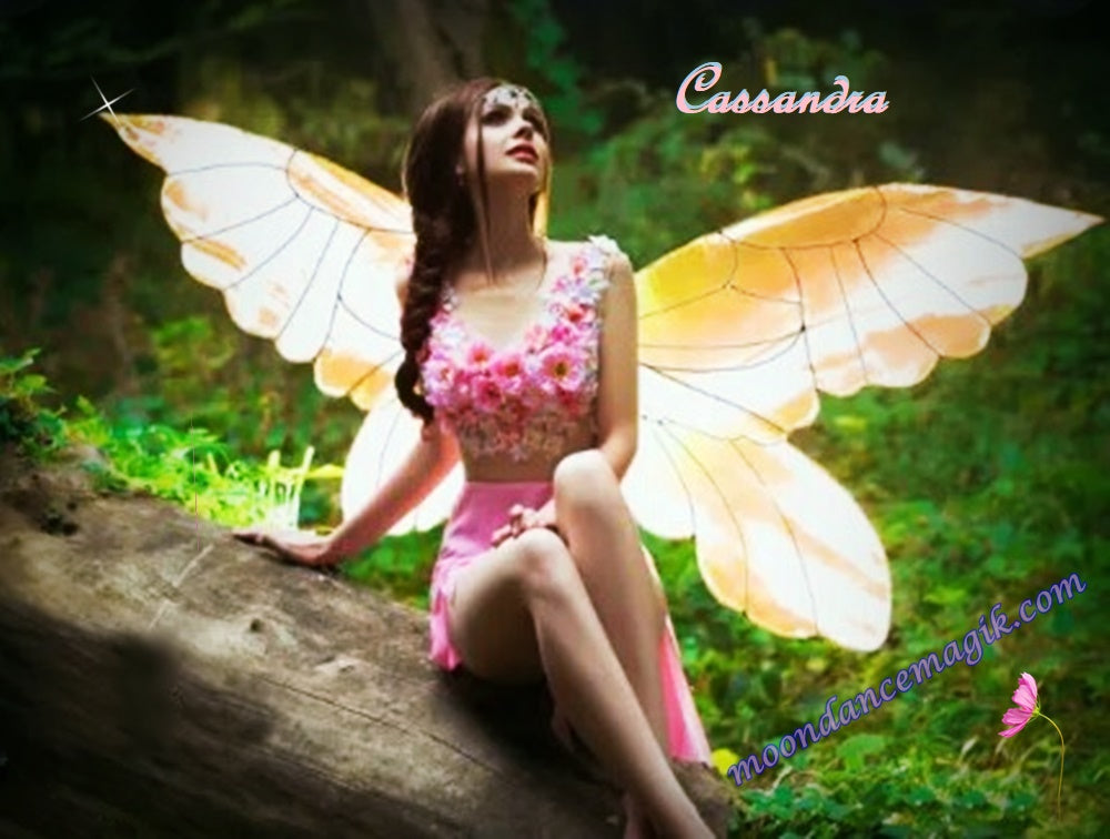 Cassandra the Reiki Health & Protection Fairy - Remote Binding