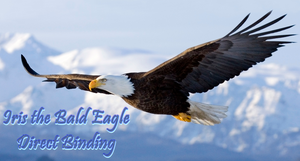 X - ADOPTED! -  Iris the Bald Eagle Spirit - Remote Binding