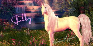 X- Adopted! - Shelby the SPECIAL Unicorn Spirit - Remote Binding - Healing and Wellness