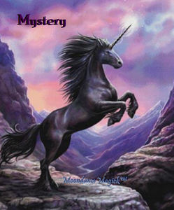 X- Adopted! - Mystery the Black Unicorn Spirit - Remote Binding - Healing, Wellness & Fortune