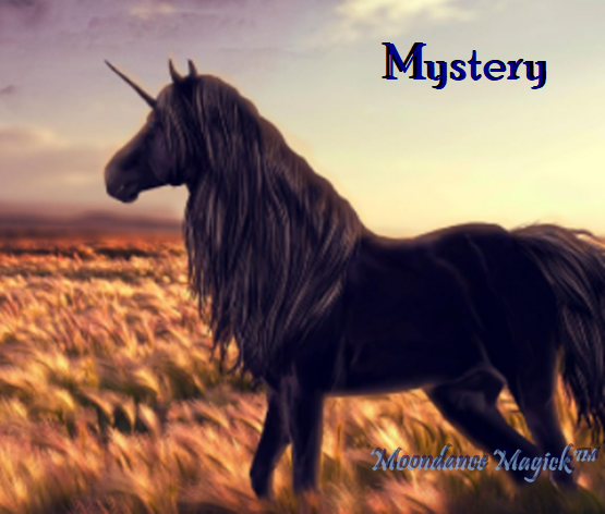 X- Adopted! - Mystery the Black Unicorn Spirit - Remote Binding - Healing, Wellness & Fortune