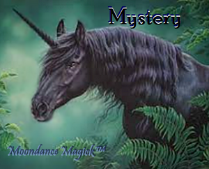 X- Adopted! - Mystery the Black Unicorn Spirit - Remote Binding - Healing, Wellness & Fortune